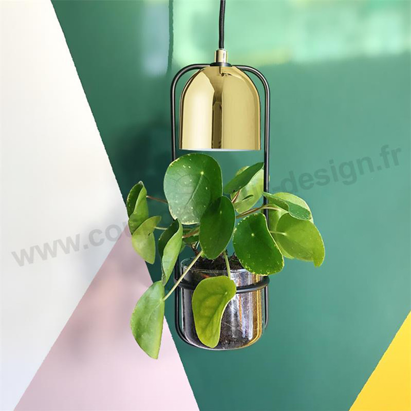 Suspension luminaire avec plante Bloomingville - Tropicale Suspension luminaire avec plante Bloomingville - Tropicale