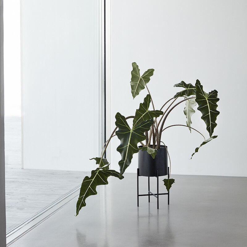 Pots de fleurs sur pieds métal noir design Hubsch - Pétale