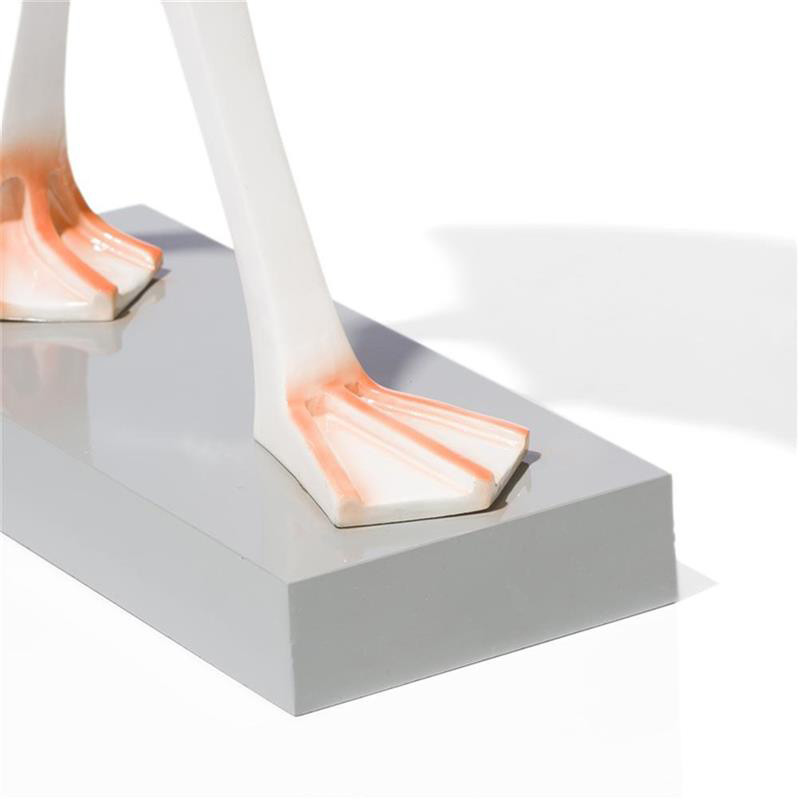 Objet déco flamant rose - Flamingo 